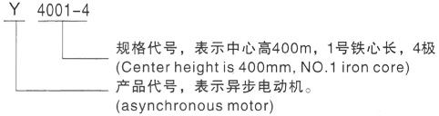 西安泰富西玛Y系列(H355-1000)高压YKK5601-12/355KW三相异步电机型号说明